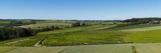 banner web paysage agricole